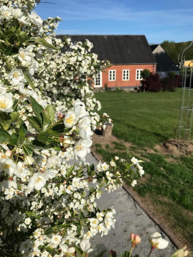 Brorup Kjaersgaard, Hygge, Ro, Natur Og Landliv Bed & Breakfast Skanderborg Exterior photo